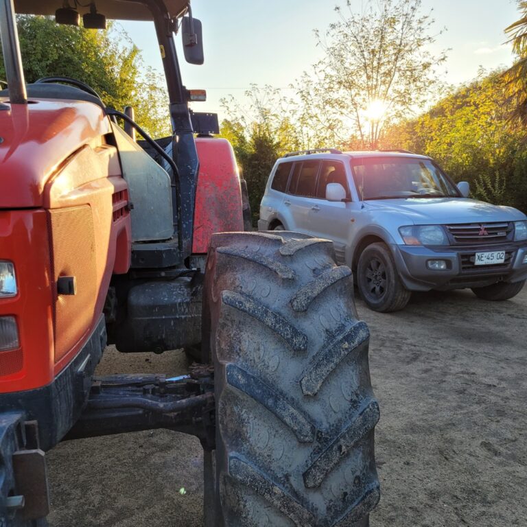 WhatsApp Image 2024-07-30 at 11.11.10 (1)